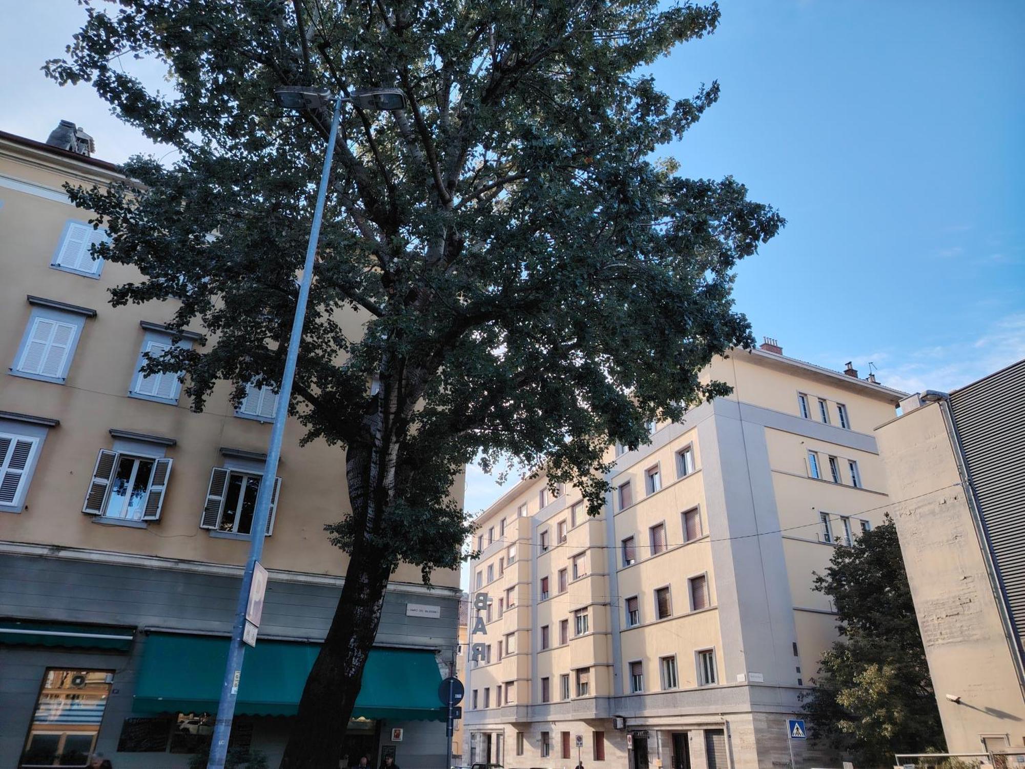 Appartamento Fabio Haus, aria condizionata, wi-fi Trieste Esterno foto